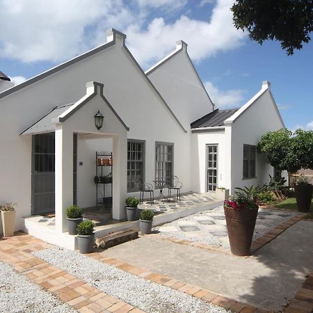 The Lily House Hotel Hermanus Bagian luar foto